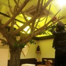 펄스온 생명공학 이미지