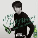 초록쌤 이미지