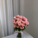비프링 | 창원 생화 부케 소답동 비프링, 부케 웨딩 촬영 후기
