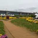 한심한 대전시 호수공원과 공주 꽃 축제 이미지