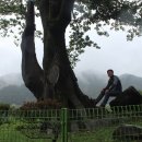 순천-36호 이미지