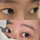 신복공원 | 울산 무거동속눈썹펌 추천 코디뷰티 만족후기