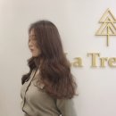 라트리헤어 스파힐 대전자양점