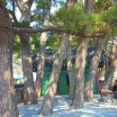 태하 성하신당 이미지