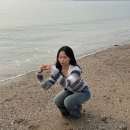 [서울 근교여행] 제부도 1박 2일 완벽 코스