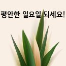 둔포우리약국 이미지