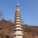 새로이 행정사사무소 이미지