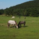 국립축산과학원 가축유전자원센터 이미지