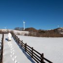 진경목장 이미지