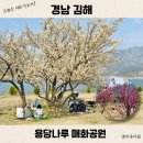 간이화장실_노들나루공원 | 경남 김해 매화공원 용당나루 주차장 애견 홍매화 명소 먹거리 축제