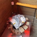 멍이부뚜막 | 가평 애견동반 펜션 임초리부뚜막 계곡 촌캉스 내돈내산 찐후기