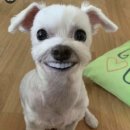 동우화인켐(주) 기숙사 B지구 | 외로움과 두려움이 우릴 힘들게 하여도~ 결코 피하지 않아🎶