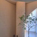 아란의원 이미지