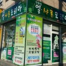 엘샤론코리아 이미지