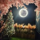 덕진G마트 이미지