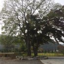 나오스빌라 이미지