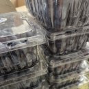 인화님 블루베리 이미지