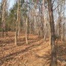 영종주유소 이미지