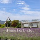 허브밸리(전망대) 이미지