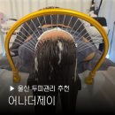 써니멀티샵 | 울산 두피관리 어나더제이뷰티 헤드스파 각질 헤어 힐링 부모님 피로풀기