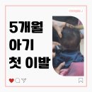 5개월 아기, 잠실 키즈 미용실 뿌띠보보 이용 후기