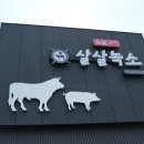 살살녹소 이미지