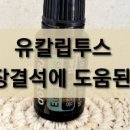 다이아몬드헤어클럽