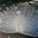 광주조류원 이미지