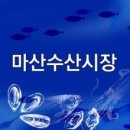 마산수산시장 이미지