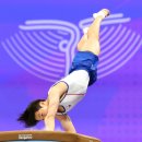 제천체육관 올림픽스포츠센터 이미지