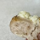 부산 롯데광복점 맛집 비엔씨제과 후기