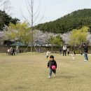 울산 선암호수공원 벚꽃 보현사 아이와 가볼만한곳 추천