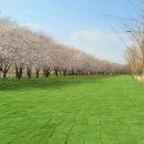 동천 수변공원 이미지