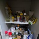 물안개피는 강가펜션 | 전남 곡성 강아지 4마리와 함께한 곡성 여행 강빛마을펜션 이용 후기🐾