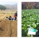 서울 2농장 이미지