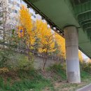 삼봉1교 이미지