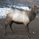 상록목장 이미지