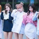 사나 - 의성군 | 사나