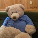 화천포레스트 이미지