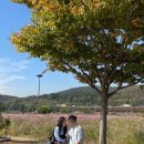 서대구농협 북비산지점 앞 | [대구] 3박 4일이라고 하기엔 애매한, 코 끝 시린 계절 대구여행 (칠성시장 포장마차거리 / 군위식당...