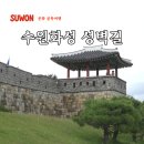 경기도 수원시 팔달구 수원천로255번길 | 수원화성 둘레길 팔달문에서 창룡문까지 성곽길 돌기 수원팔색길