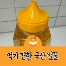 진한농장 | 국산벌꿀의 진한 풍미 북간도벌꿀농장 프리미엄 아카시아꿀 솔직 후기