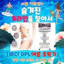 디피엘 이미지