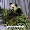 청강세탁소 | 그대들 언제까지 중간고사 전날 밤을 새울 것인가