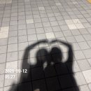 브라운도트대구동천점 | 부부 국토대장정 11일차 (구미역-칠곡-대구 팔거역)