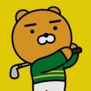 에버스크린골프 이미지