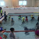 리틀아쿠아파크 이미지