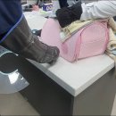 영국동물병원 이미지