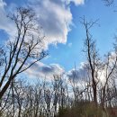 구산근린공원 이미지