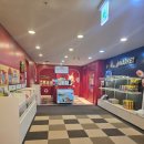 갑을동물병원 | 대전 은행동 코코몽키즈카페 내돈내산후기!!